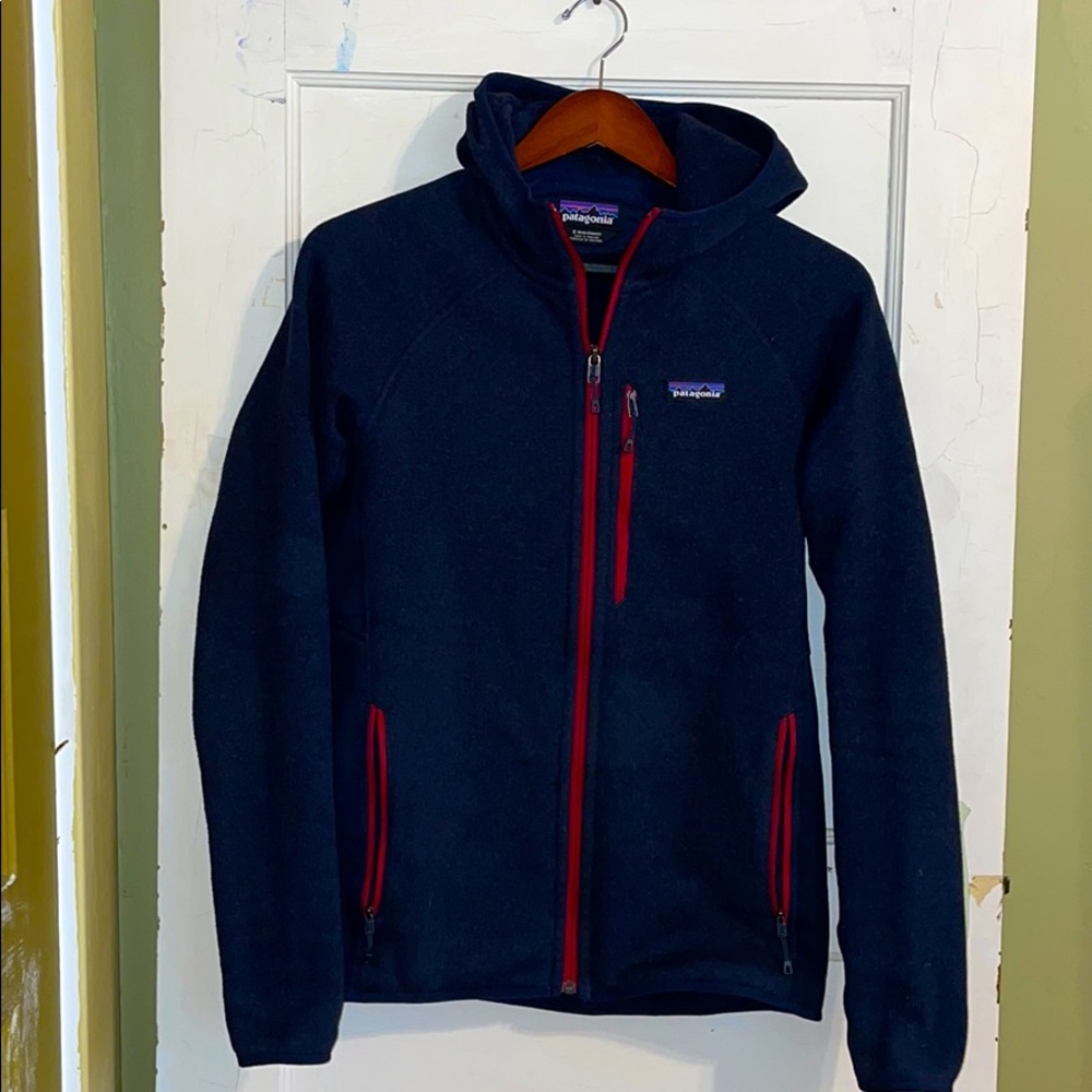 Patagonia Lightweight Better Sweater Fleece Hoody